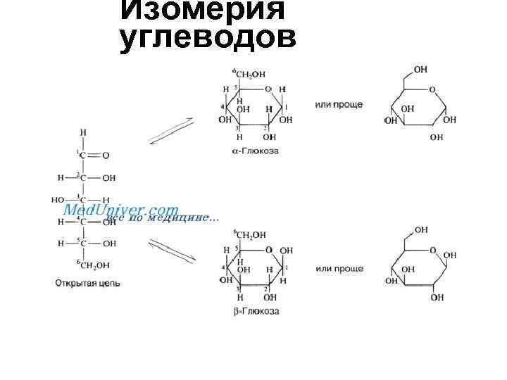 Изомерия глюкозы. Альфа и бета изомерия моносахаридов. Углеводы классификация номенклатура, изомерия, строение. Мальтоза Альфа и бета формула. Изомерия углеводов химия.