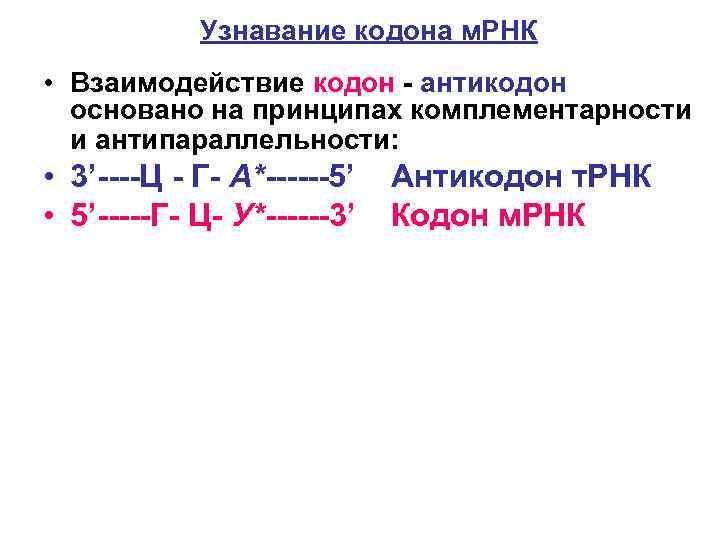   Узнавание кодона м. РНК  • Взаимодействие кодон - антикодон  основано