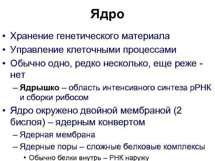      Ядро • Хранение генетического материала • Управление клеточными процессами