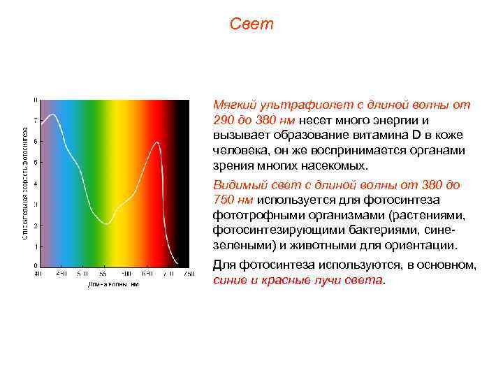  Свет  Мягкий ультрафиолет с длиной волны от 290 до 380 нм несет