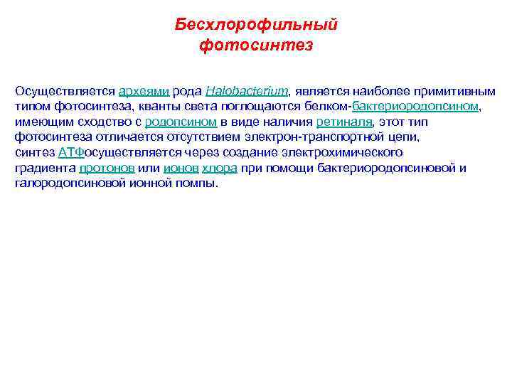     Бесхлорофильный     фотосинтез Осуществляется археями рода Halobacterium,
