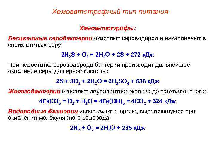    Хемоавтотрофный тип питания     Хемоавтотрофы: Бесцветные серобактерии окисляют
