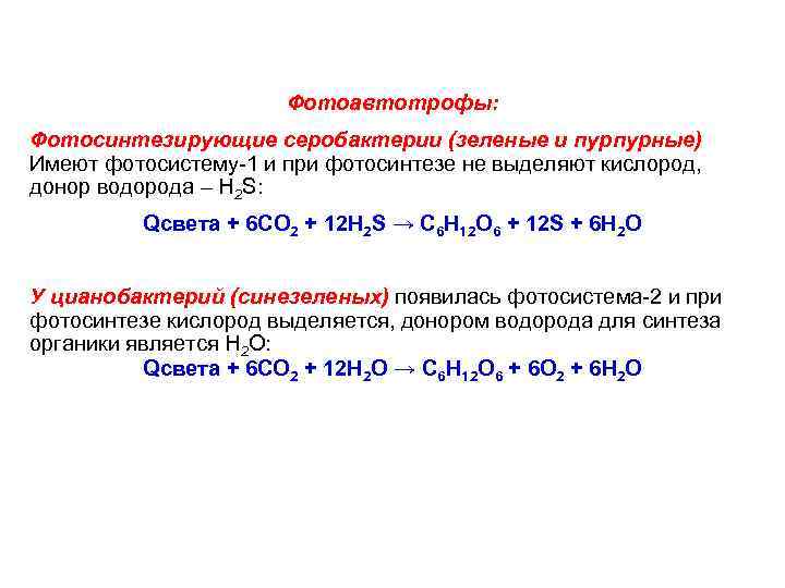      Фотоавтотрофы: Фотосинтезирующие серобактерии (зеленые и пурпурные) Имеют фотосистему-1 и