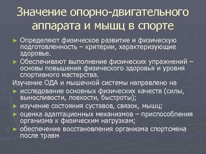 Роль опорно двигательного аппарата в выполнении физических упражнений проект