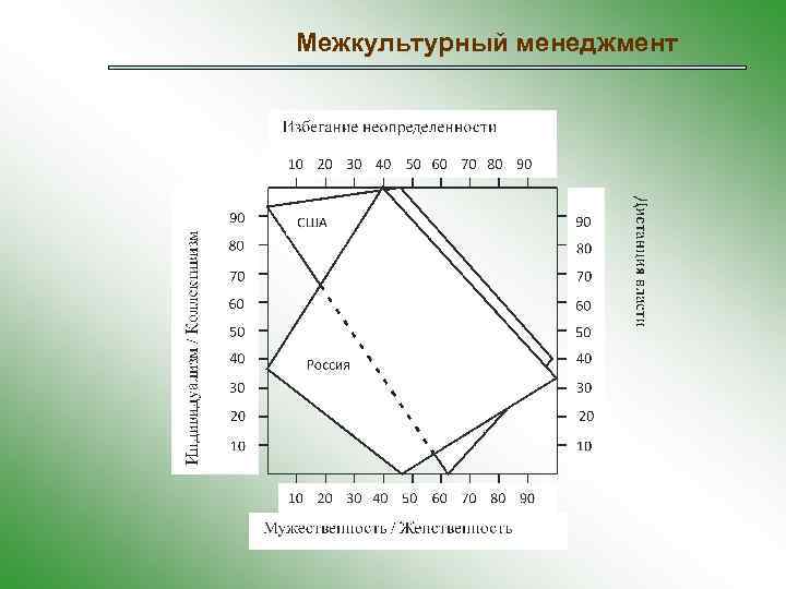 Межкультурный менеджмент 