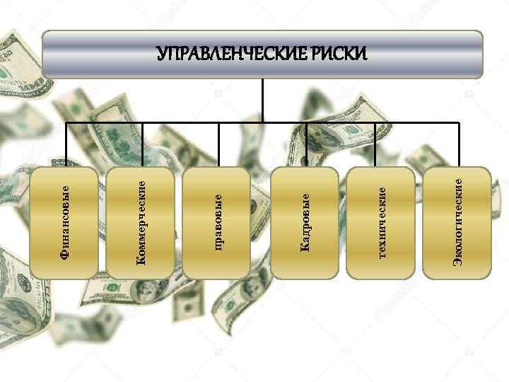 Экологические технические Кадровые правовые Коммерческие Финансовые УПРАВЛЕНЧЕСКИЕ РИСКИ 