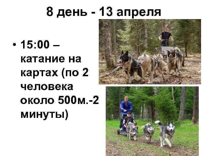 8 день - 13 апреля • 15: 00 – катание на картах (по 2