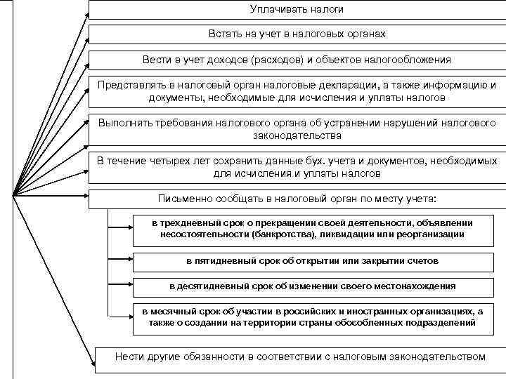      Уплачивать налоги    Встать на учет в