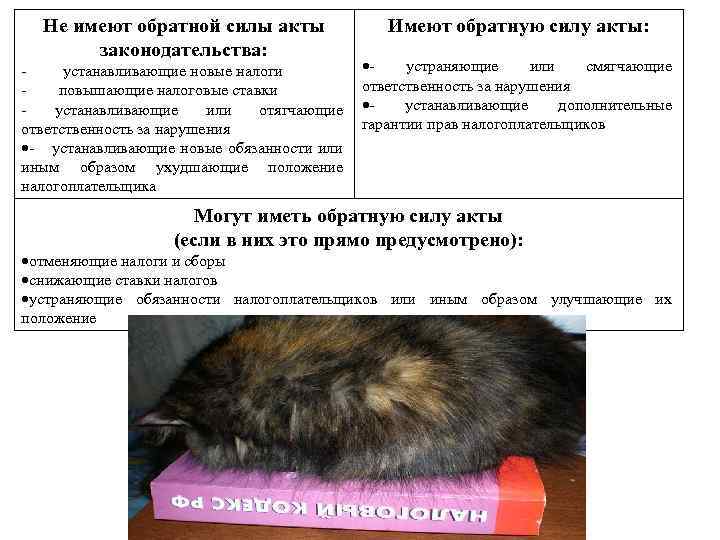  Не имеют обратной силы акты   Имеют обратную силу акты:  