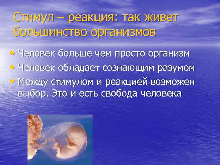 Стимул – реакция: так живет большинство организмов • Человек больше чем просто организм •