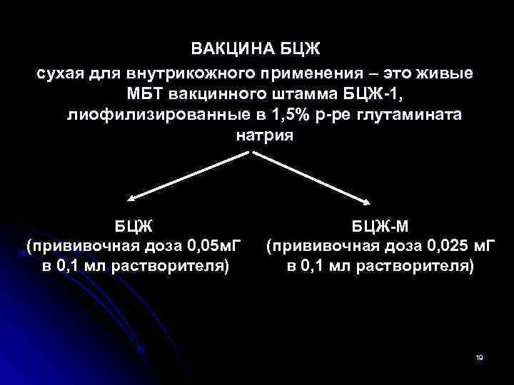    ВАКЦИНА БЦЖ сухая для внутрикожного применения – это живые  МБТ