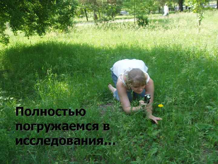 Полностью погружаемся в исследования… 