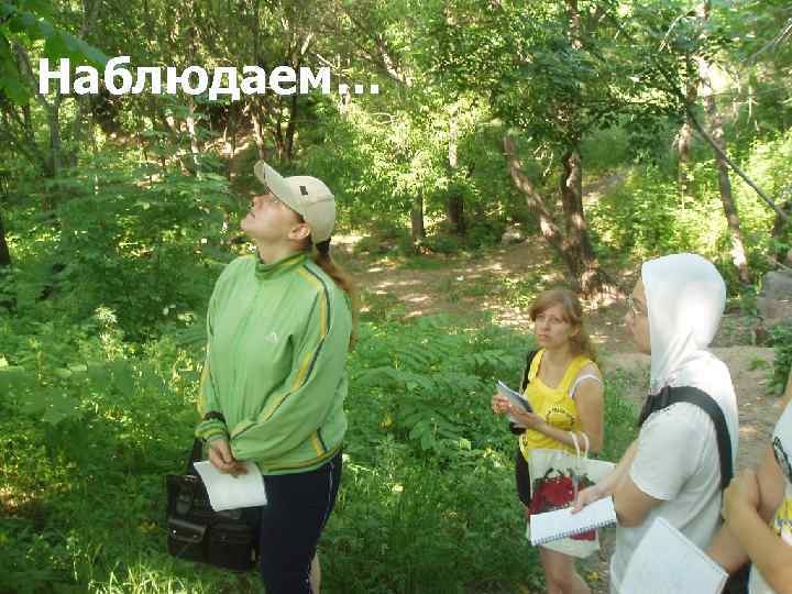 Наблюдаем… 