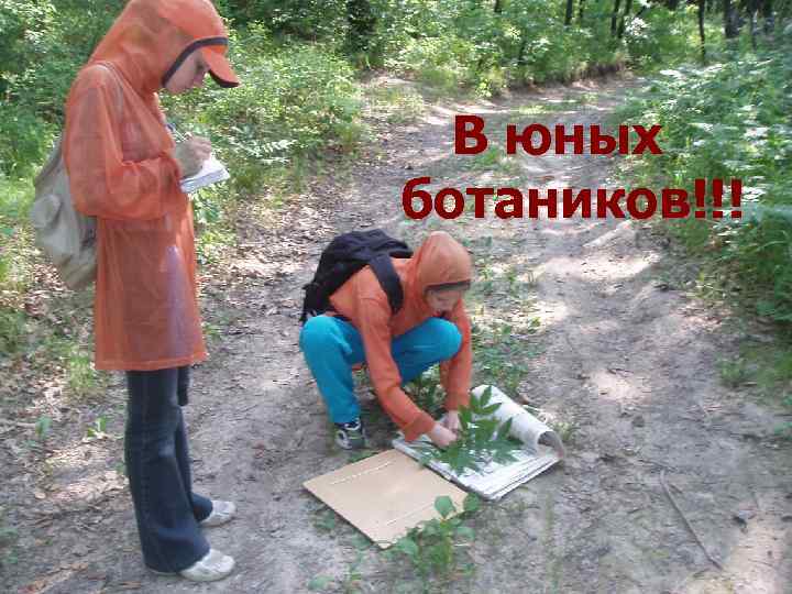 В юных ботаников!!! 