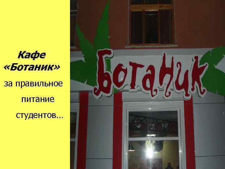 Кафе «Ботаник» за правильное питание студентов… 