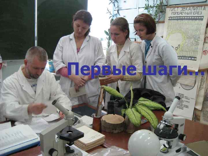 Первые шаги… 