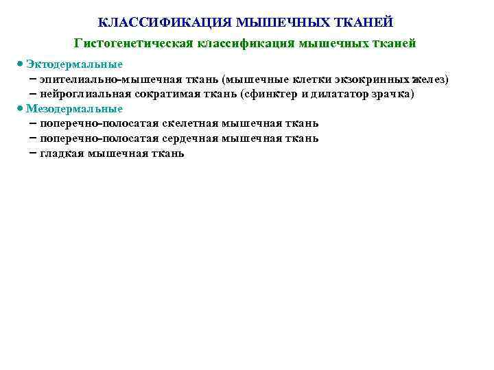   КЛАССИФИКАЦИЯ МЫШЕЧНЫХ ТКАНЕЙ   Гистогенетическая классификация мышечных тканей  Эктодермальные эпителиально-мышечная