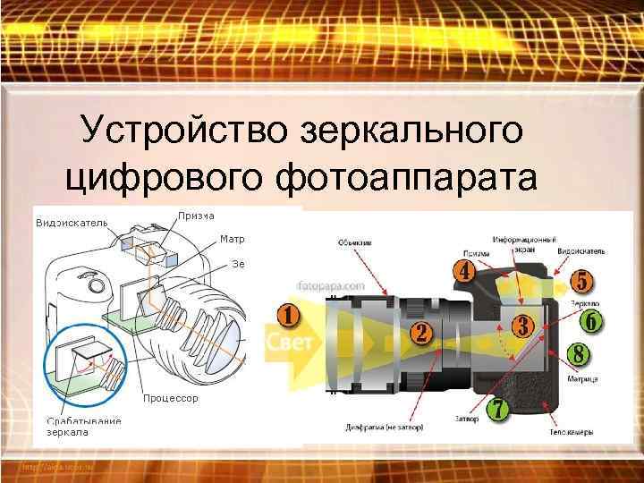  Устройство зеркального цифрового фотоаппарата 