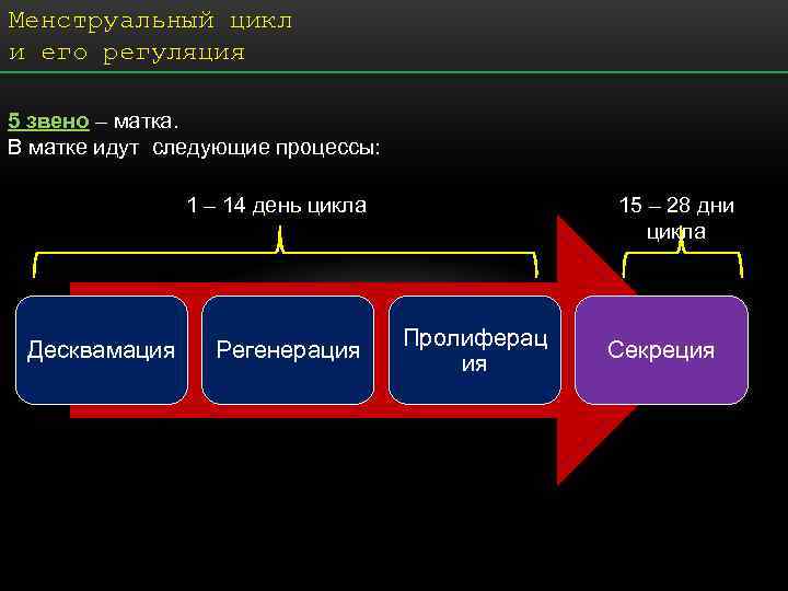 Последующие процессы