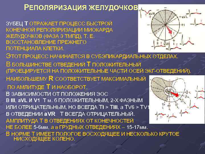 Нарушение процессов левого желудочка