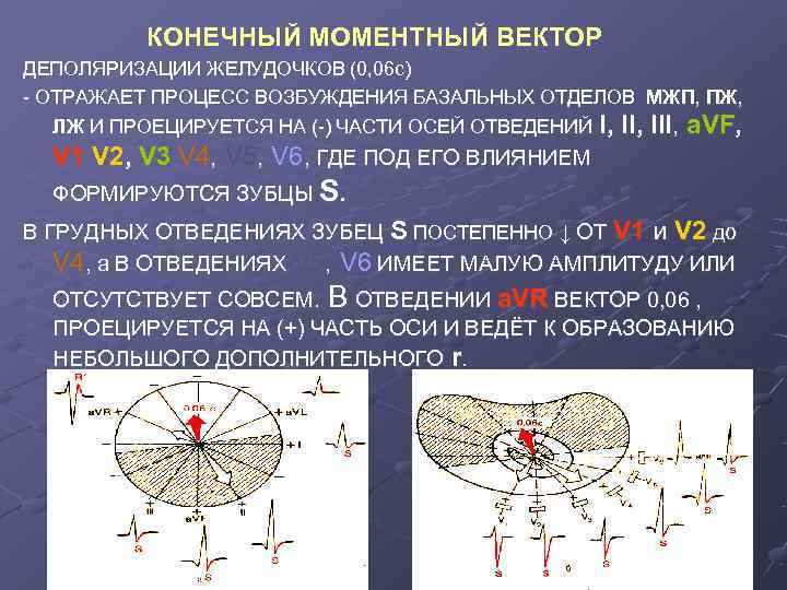 Обозначьте на рисунке фазу деполяризации