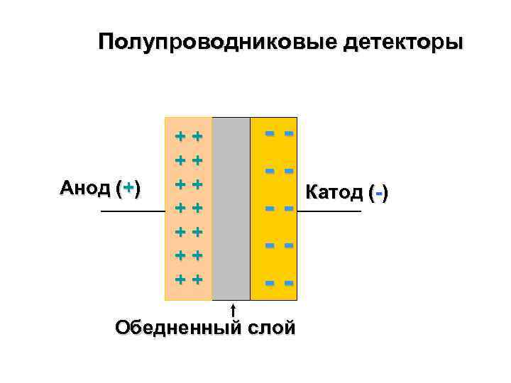   Полупроводниковые детекторы    ++  --  ++  