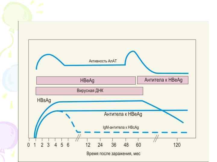 Маркеры гепатита В 