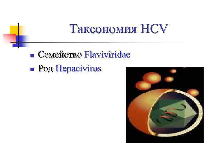   Таксономия HCV n  Семейство Flaviviridae n  Род Hepacivirus 