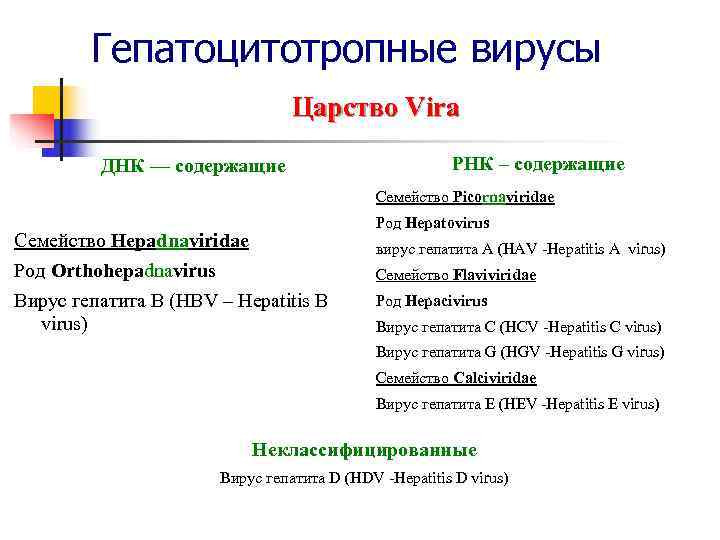   Гепатоцитотропные вирусы      Царство Vira  ДНК —
