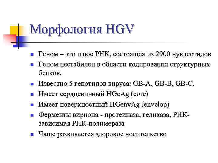 Морфология HGV n  Геном – это плюс РНК, состоящая из 2900 нуклеотидов n