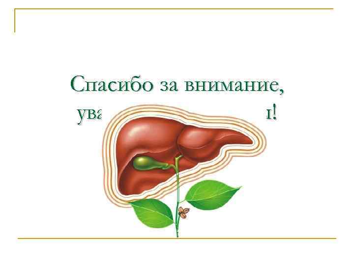 Спасибо за внимание, уважаемые студенты! 