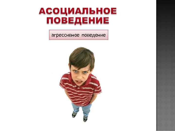 агрессивное поведение 