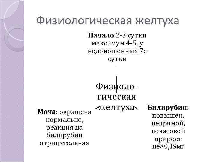 Физиологическая желтуха   Начало: 2 -3 сутки    максимум 4 -5,