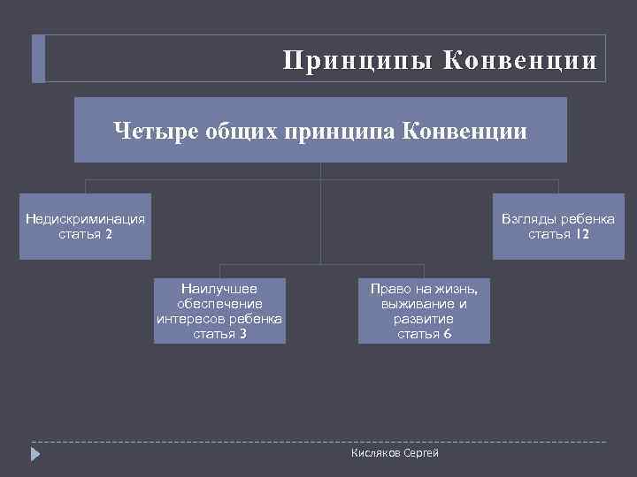       Принципы Конвенции   Четыре общих принципа