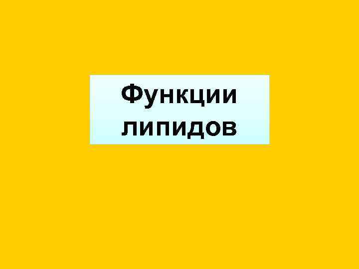 Функции липидов 
