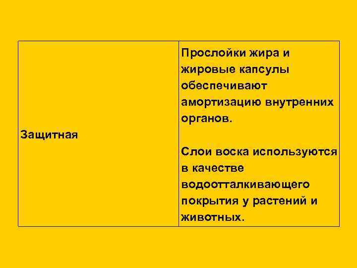   Прослойки жира и  жировые капсулы  обеспечивают  амортизацию внутренних 