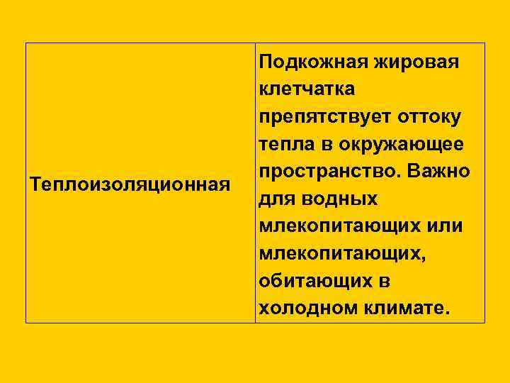     Подкожная жировая     клетчатка   