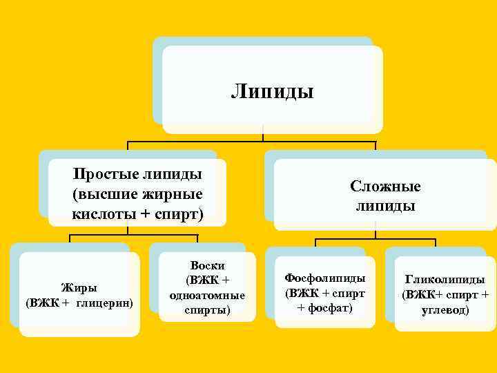       Липиды   Простые липиды  (высшие жирные