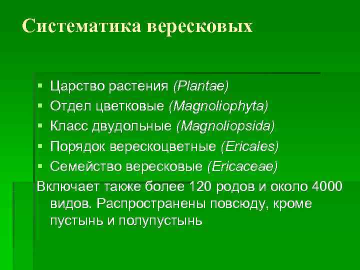 Систематика вересковых  § Царство растения (Plantae) § Отдел цветковые (Magnoliophyta) § Класс двудольные