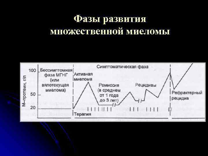   Фазы развития множественной миеломы 