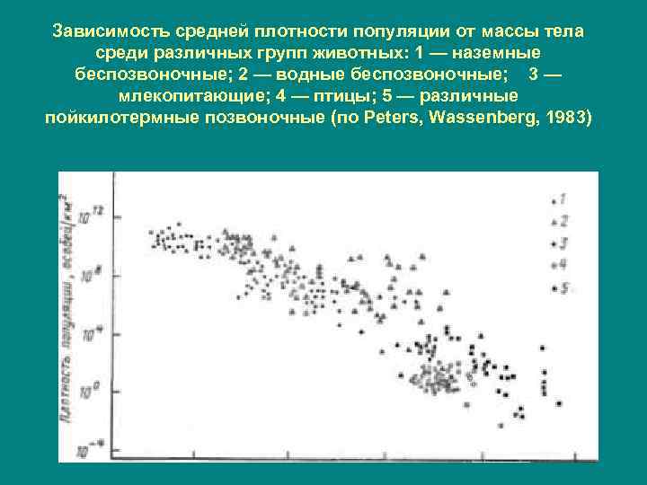 Зависимость средней плотности популяции от массы тела среди различных групп животных: 1 — Зависимость средней плотности популяции от массы тела среди различных групп животных: 1 —