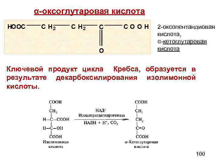 α-оксоглутаровая кислота HOOC CH 2 C O COOH 2 -оксопентандиовая кислота, α-кетоглутаровая кислота Ключевой