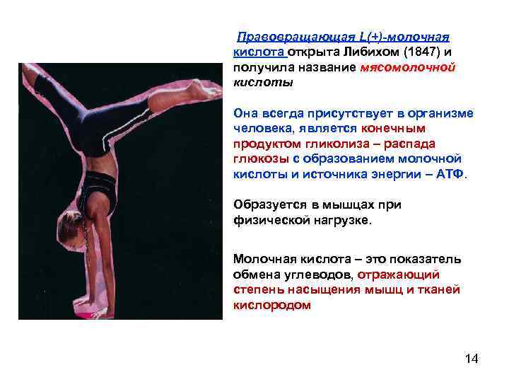  Правовращающая L(+)-молочная кислота открыта Либихом (1847) и получила название мясомолочной кислоты Она всегда