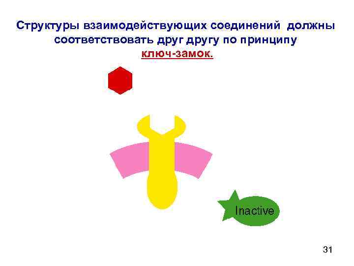 Структуры взаимодействующих соединений должны соответствовать другу по принципу ключ-замок. 31 