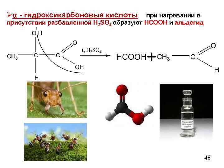 Ø - гидроксикарбоновые кислоты при нагревании в присутствии разбавленной Н 2 SO 4 образуют
