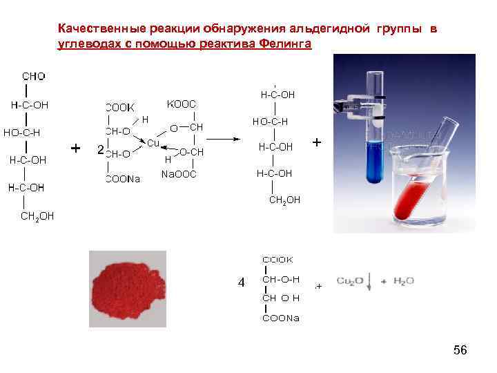 Качественные реакции обнаружения альдегидной группы в углеводах с помощью реактива Фелинга 2 4 +