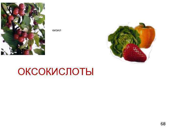 кизил ОКСОКИСЛОТЫ 68 