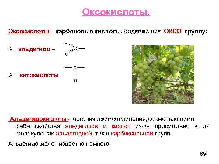  Оксокислоты – карбоновые кислоты, СОДЕРЖАЩИЕ ОКСО группу: Ø альдегидо – Ø кетокислоты Альдегидокислоты