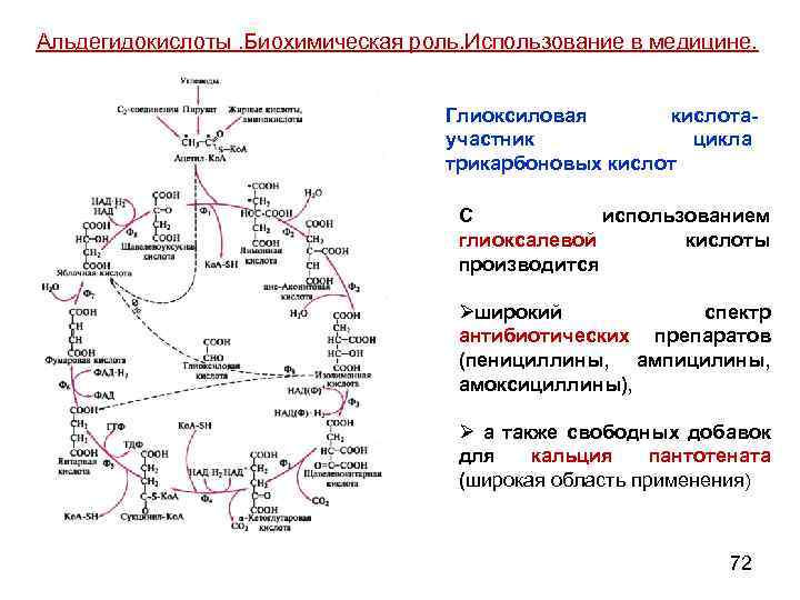 Альдегидокислоты. Биохимическая роль. Использование в медицине. Глиоксиловая кислотаучастник цикла трикарбоновых кислот С использованием глиоксалевой