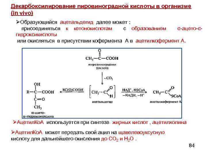 Декарбоксилирование пировиноградной кислоты в организме (in vivo) ØОбразующийся ацетальдегид далее может : присоединяться к